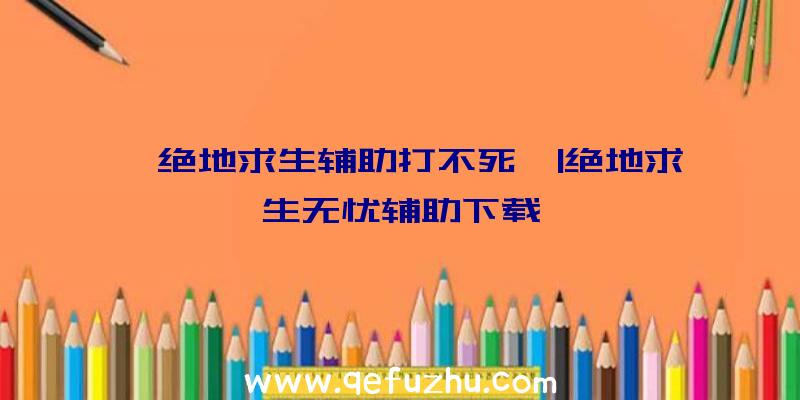 「绝地求生辅助打不死」|绝地求生无忧辅助下载